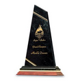 Trendsetter Large Black Marble Award